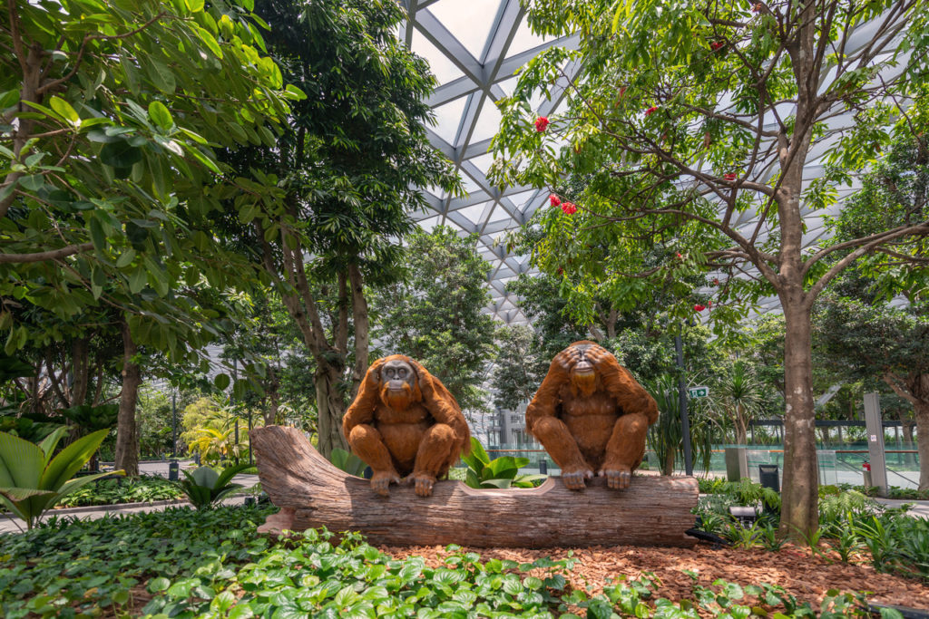 The Jewel Changi Airport Emerges As A Multi-faceted Lifestyle and